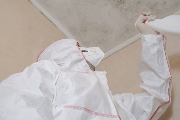 Best Commercial Mold Removal  in Untain Grove, MO