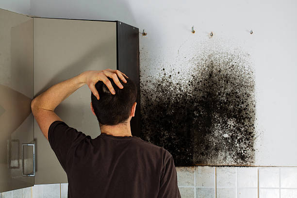 Water Damage Restoration in Mountain Grove, MO